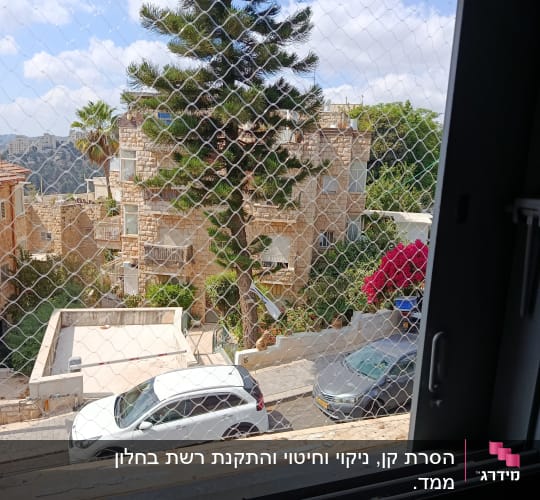 רשת יונים מותקנת על חלון עם נוף חיצוני